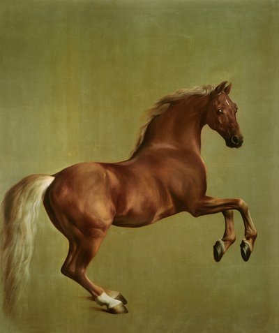 Whistlejacket, 1762 de George Stubbs
